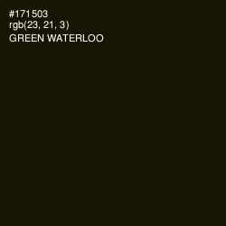 #171503 - Green Waterloo Color Image